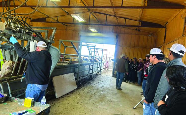 Hereford Veterinary Clinic hosts Beef Quality Assurance Seminar