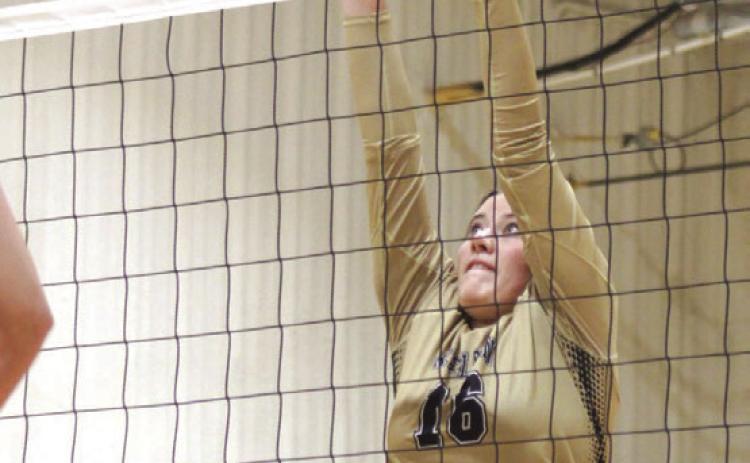 Kelton Volleyball