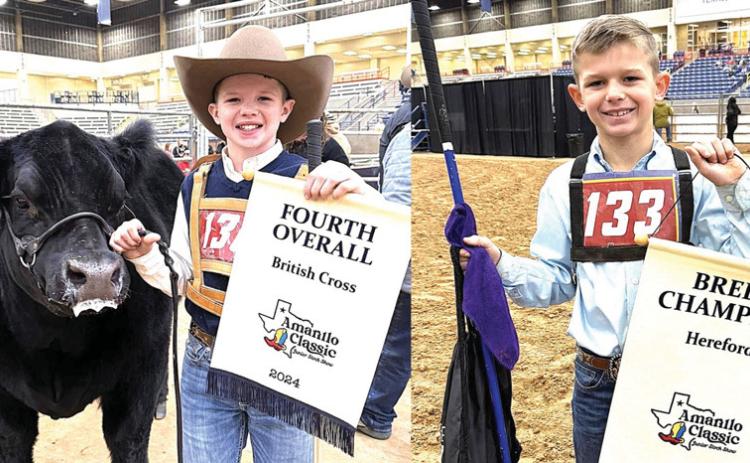 Naz Ag came on strong at the Amarillo Classic Junior Livestock Show. Jett Farris placed 4th In British Cross steers and Kannon Farris was the Hereford Breed Champion.