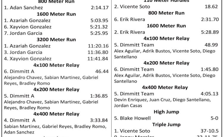 Dimmitt track advances to Area