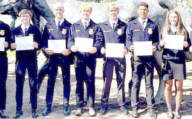 Nazareth FFA Chapter members earned nine Lone Star Degrees this past year.: Jett Ramaekers, Tanner Wethington, Jack Welps, Will Young, Bryson Brockman, Max Snead, Riley Ramaekers and Chloe Birkenfeld.