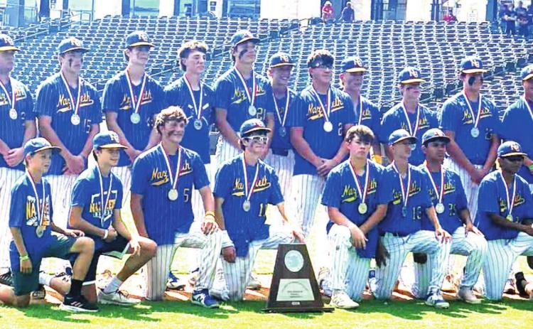 Swifts win semifinals, fall in title game