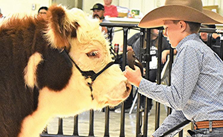 Kannon Farris and Colow Farris were among the Castro County ag youth who showed off their talents and livestock projects at the Nazareth and Castro County stocks shows last week. Results and winners will be featured in the Livestock Special Section in next week’s paper.