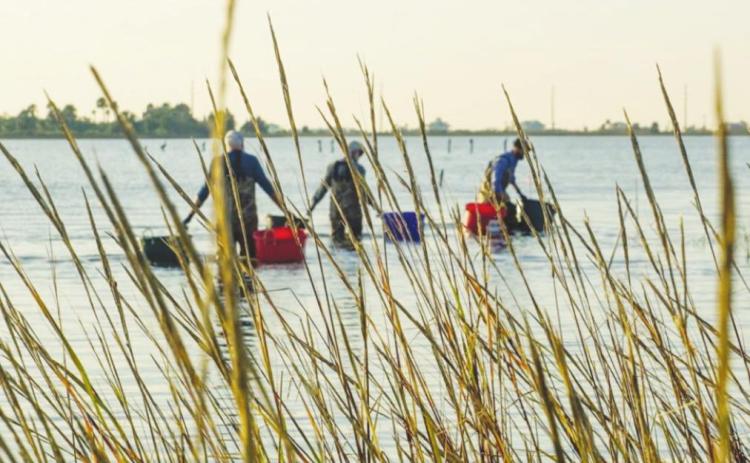 Texas Master Naturalist training signup through Aug.
