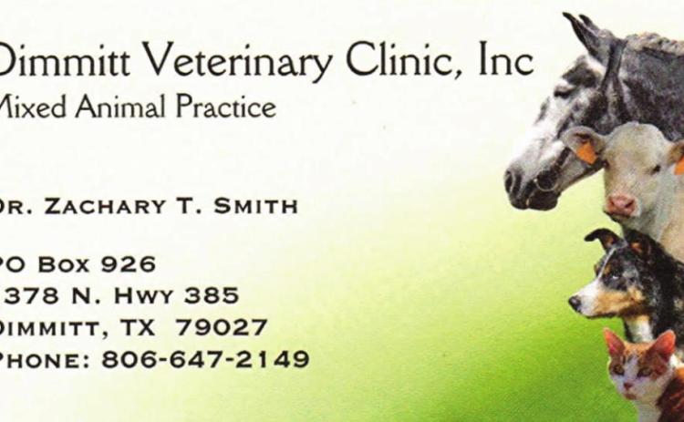 Pet Talk