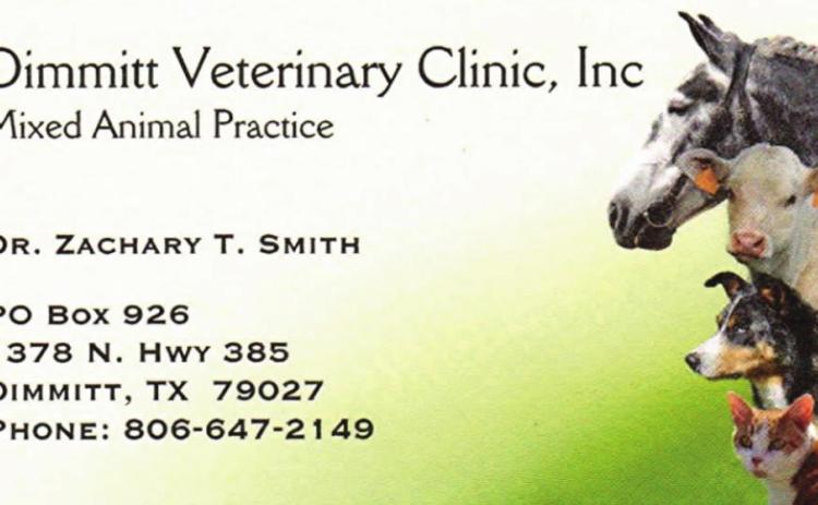 Pet Talk