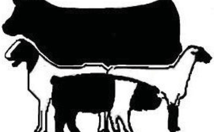 County stock shows kick off Jan. 10
