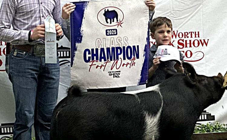Naz FFA Copper Farris placed 10th at the Ft. Worth Livestock Show with his cross barrow and was the highest placed Texas bred barrow in the class.