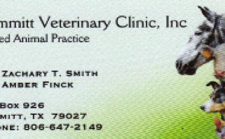 Pet Talk