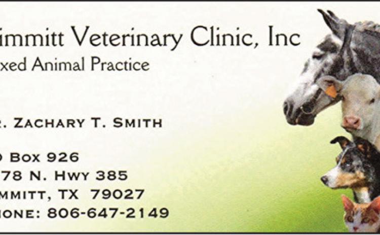 Pet Talk
