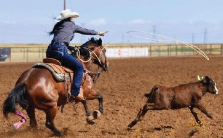 Breakaway Roping – Bailey Coates. Time - 3.41