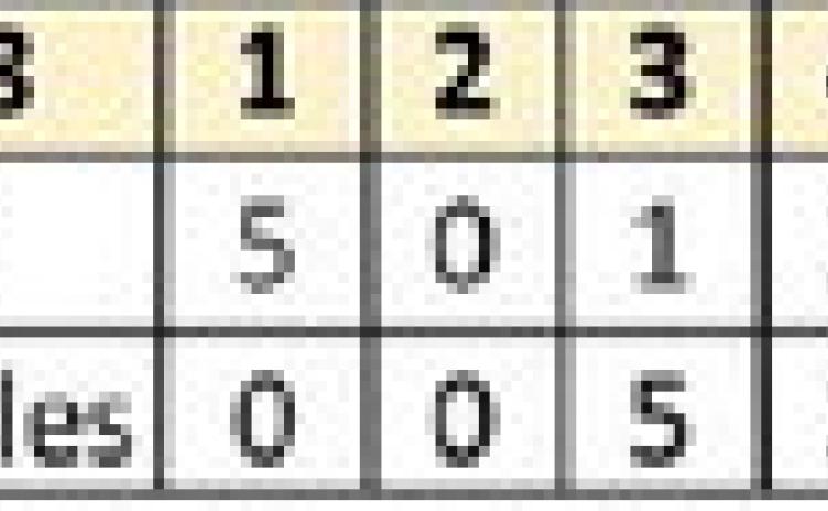 Bobbies beat Lady Eagles