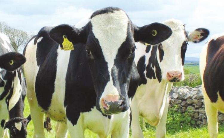 Covid aid directed to ag sector