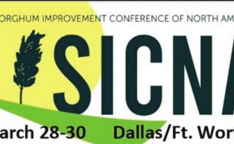 Registration for sorghum conference now open
