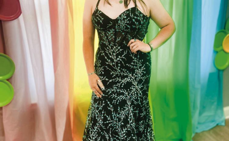 Swisher County 4-H Fashion Show and Photography Contest