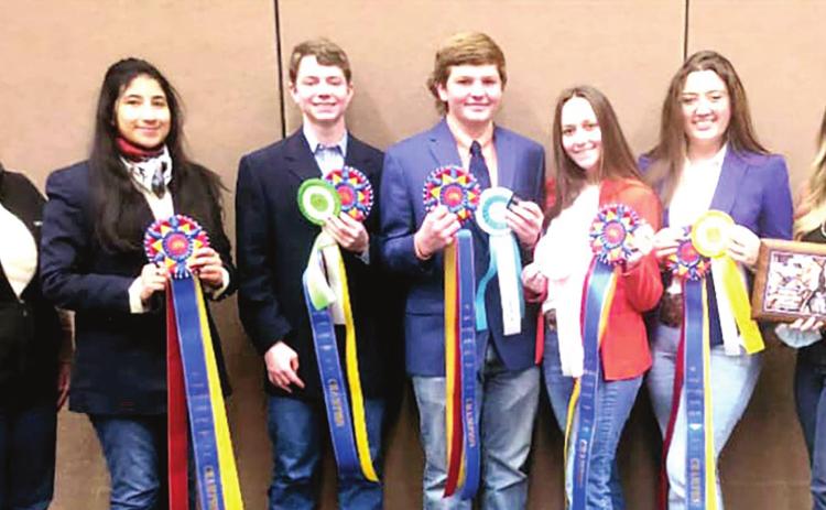 TQHA Horse Judging Team Champs