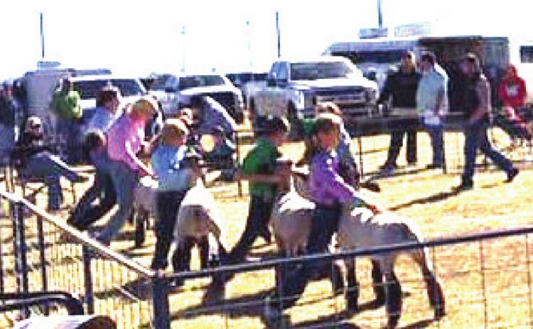 Naz Lamb Jackpot, Clinic a success