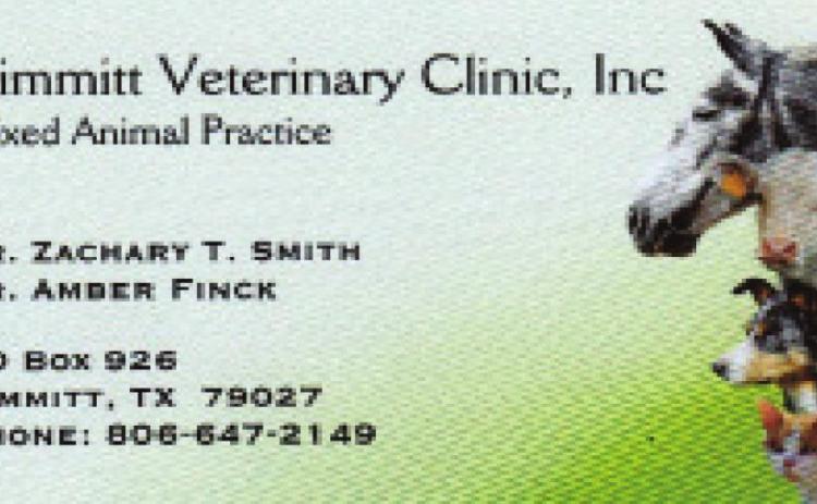 Pet Talk