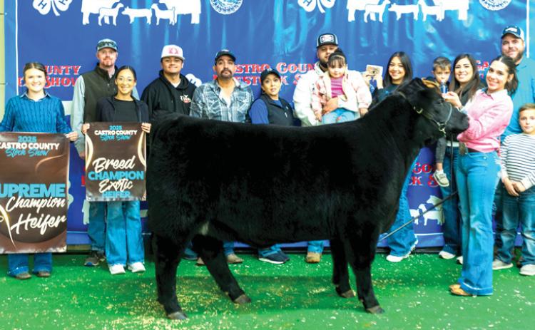 The Castro County and Nazareth stock shows are done with great exhibitors and livestock ready for to head for the majors. This year’s Castro County Supreme Heifer was shown by Kaylin Acker, and the Grand Champion Steer shown by Harper Johnson, both members of Nazareth FFA. See stock show results in the Livestock Special Section.