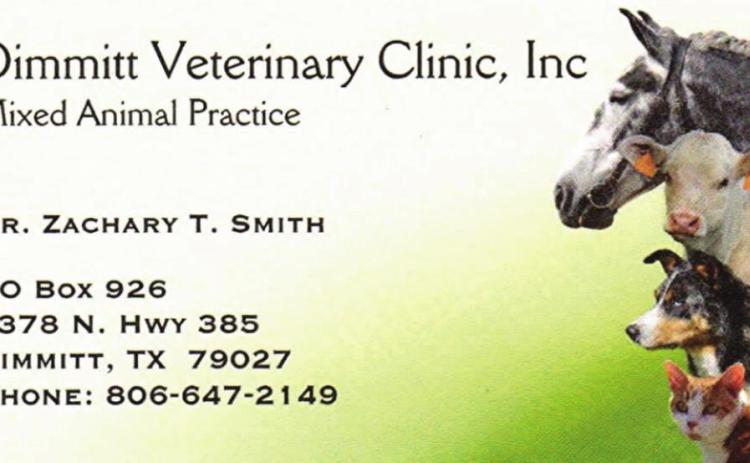 Pet Talk