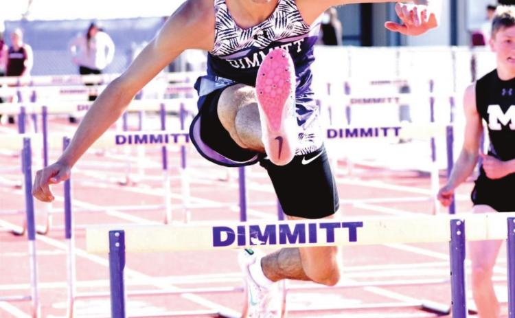 Bobcat Relays