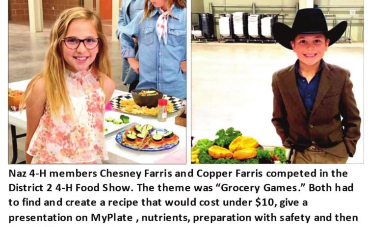 Castro 4-H competes