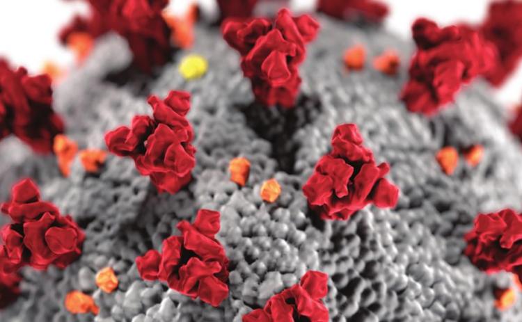 Underlying conditions affect C-19 outcomes