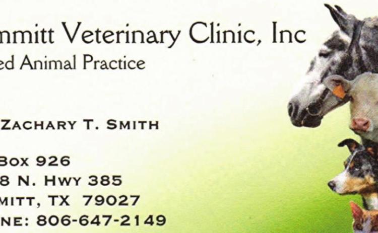 Pet Talk