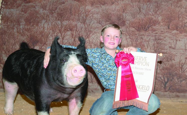 San Angelo Stockshow Results Holden Dunn Reserve Breed Champion Berkshire