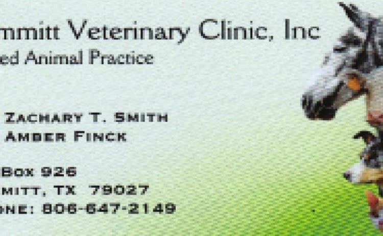 Pet Talk