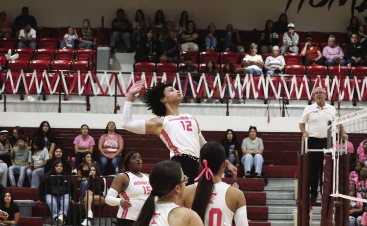 Michelle Mott jumps high and focuses on the ball