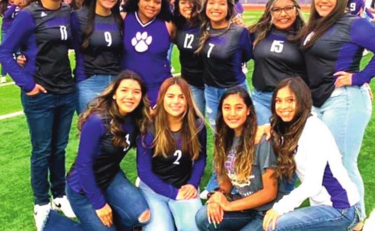 DHS Volleyball