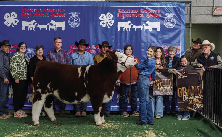 Harper Johnson is pictured with her Grand Champion Market Steer at this year’s Castro County Junior Livestock Show.
