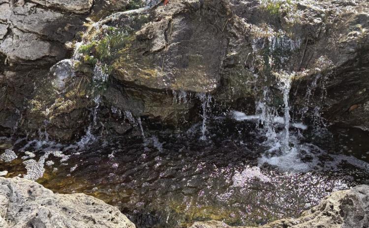 Rock Creek restoration to be topic of Borger field day